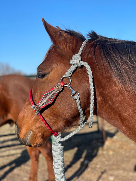 Grey and Red Wool Halter