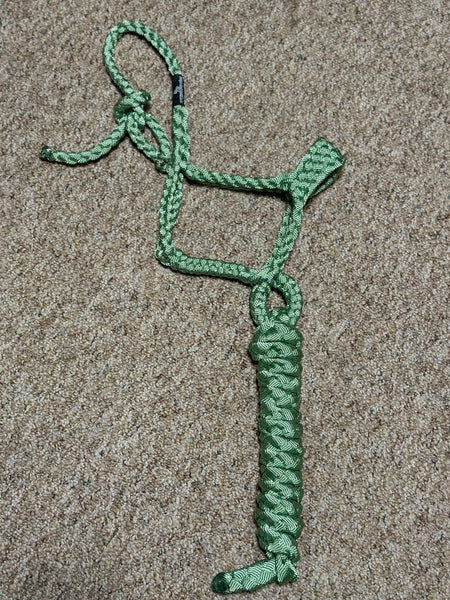 Green pony Muletape halter