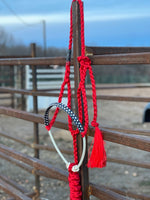 Red, white and Stars Lariat Halter