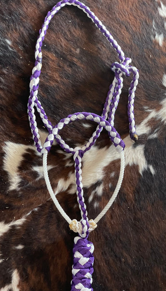 Purple/white braided Lariat Halter