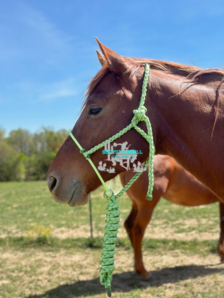 Green lariat Halter