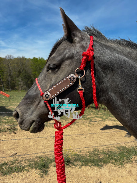 Red Hybrid with braided crown strap