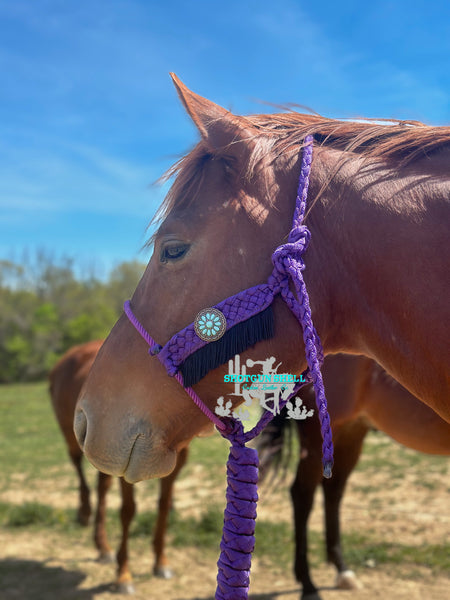 Braided cheeks Lariat Halter