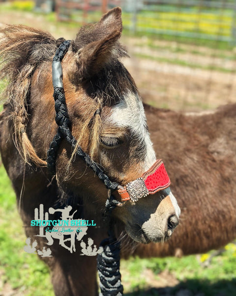 Black pony Bronc halter