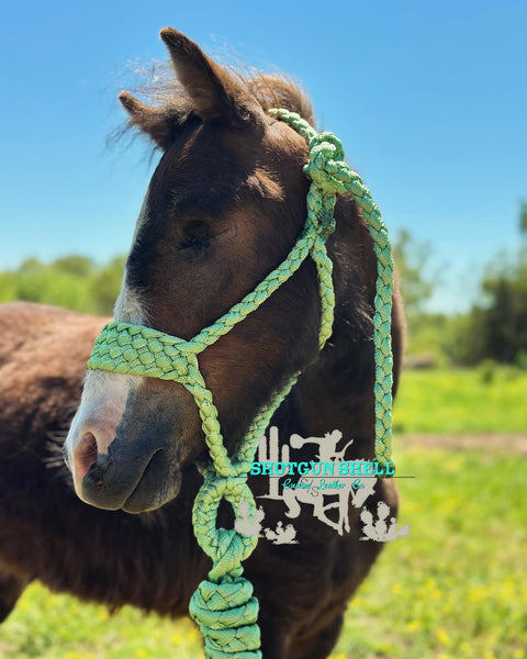 Green pony/foal muletape halter